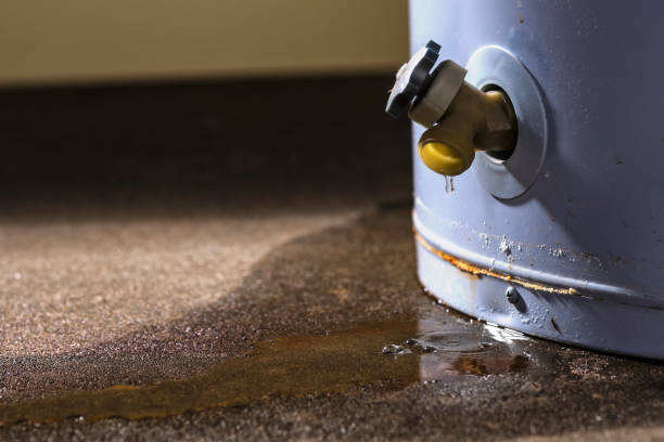 Best Local water damage restoration  in Iowa, LA
