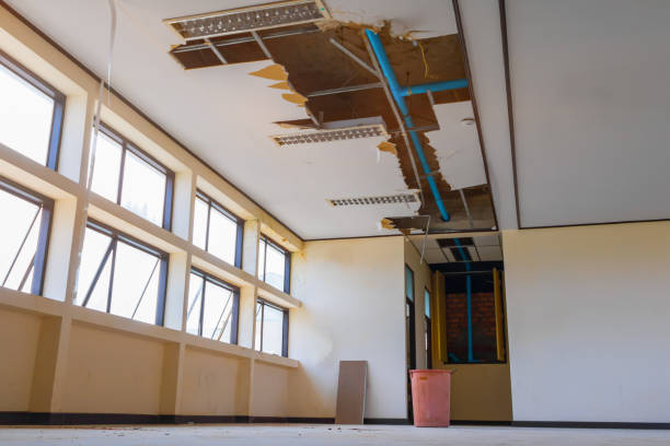 Best Fire Damage Restoration  in Iowa, LA
