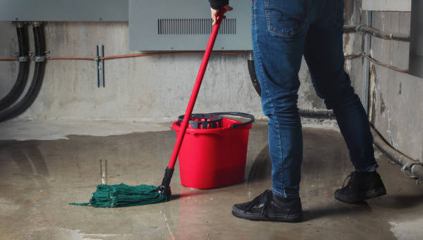 Best Water damage restoration near me  in Iowa, LA