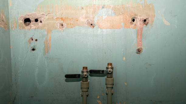 Best Emergency water extraction  in Iowa, LA