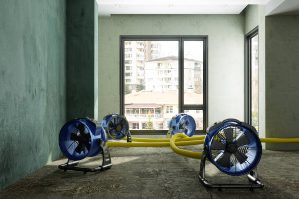 Best Sewage cleanup and water damage restoration  in Iowa, LA